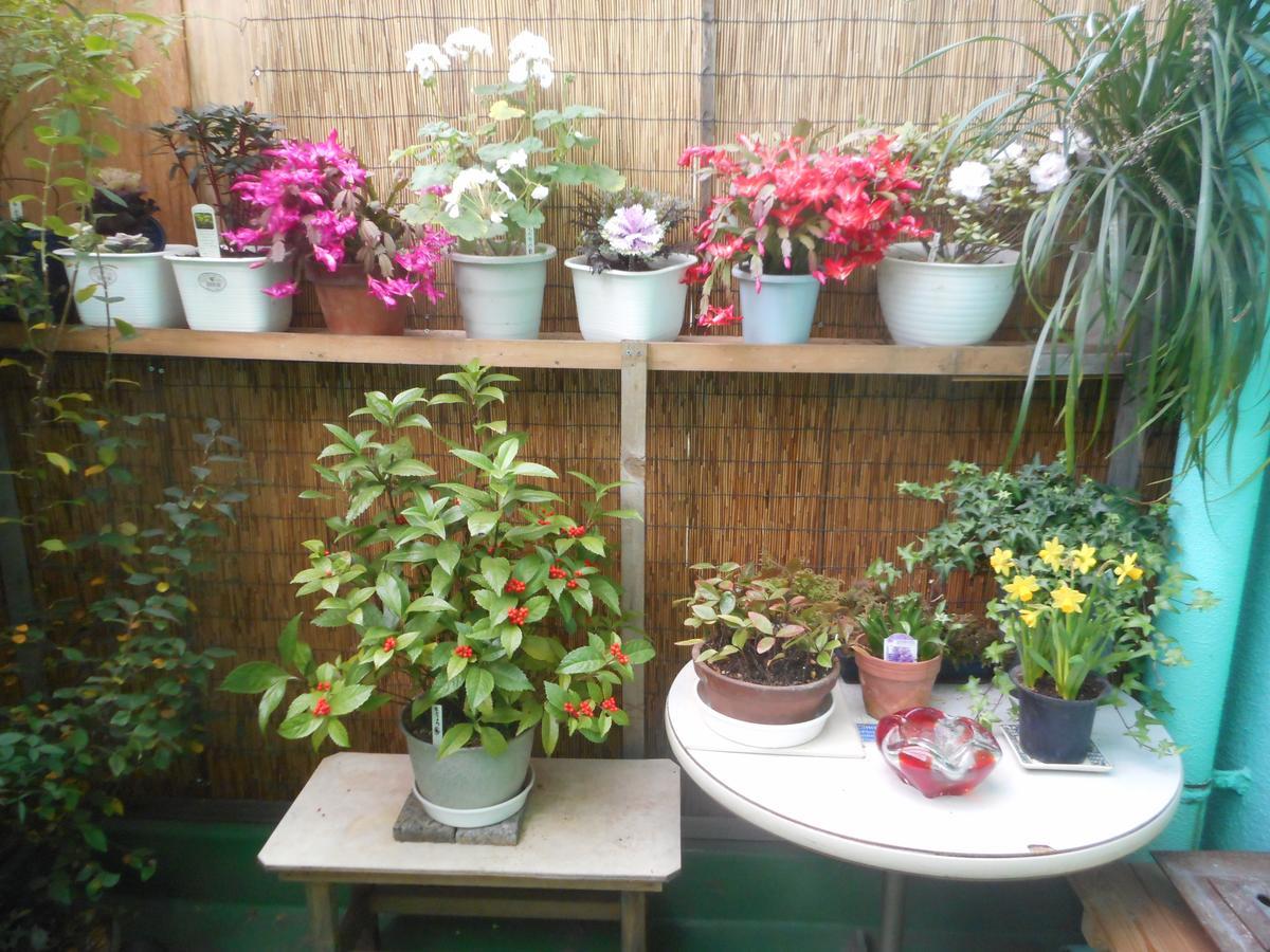 Jgh Tokyo Hostel Kawaguchi  Bagian luar foto